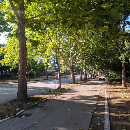 Lägenhet Golden Lady Ni